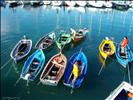 Pescadores,Puerto A Coruña,Spain